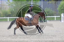 ref. photo 3569230