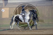 ref. photo 3569270
