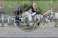 ref. photo 3569394