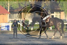 ref. photo 3569402