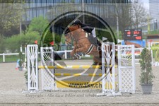 ref. photo 3569420