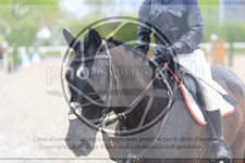 ref. photo 3569511
