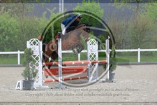 ref. photo 3569624
