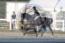 ref. photo 3569653