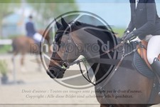 ref. photo 3569661