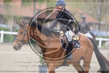 ref. photo 3570001