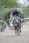 ref. photo 3570014