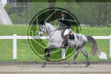 ref. photo 3570032