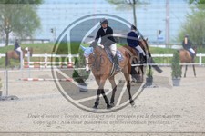 ref. photo 3570133