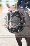ref. photo 3570145
