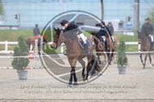 ref. photo 3570166