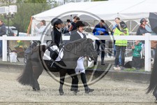 ref. photo 3570247