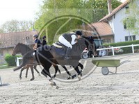 ref. photo 4024030