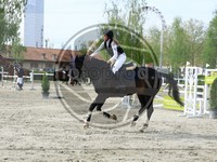 ref. photo 4024032