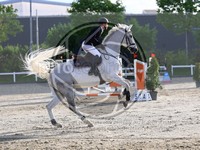 ref. photo 4024110