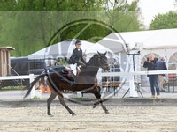 ref. photo 4024504