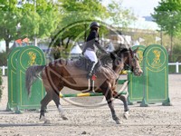 ref. photo 4024739