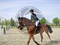 ref. photo 4024903