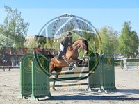ref. photo 4026906