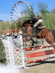 ref. photo 4027505