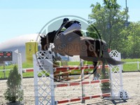 ref. photo 4027881