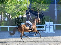 ref. photo 4027986