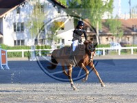 ref. photo 4028004
