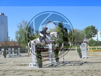 ref. photo 4028062