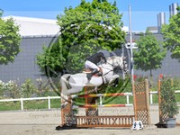 ref. photo 4028185