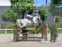 ref. photo 4028474