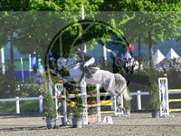 ref. photo 4028630