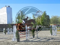 ref. photo 4028686