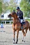ref. photo 3117038