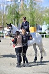 ref. photo 3117102