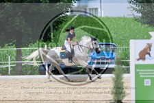 ref. photo 3688167
