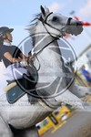 ref. photo 3688170