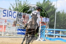 ref. photo 3688191
