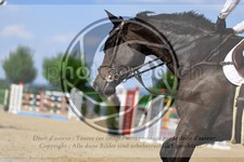 ref. photo 3688195