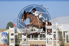 ref. photo 3688196