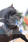 ref. photo 3688282