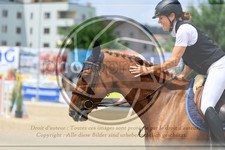 ref. photo 3688313