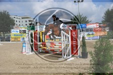 ref. photo 3688320