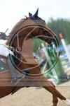 ref. photo 3688590