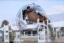 ref. photo 3688611