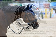 ref. photo 3688718