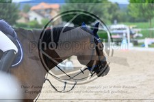 ref. photo 3688719