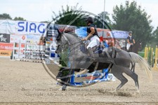 ref. photo 3688925