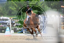 ref. photo 3688937