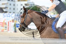 ref. photo 3689121