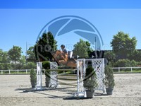 ref. photo 4070197